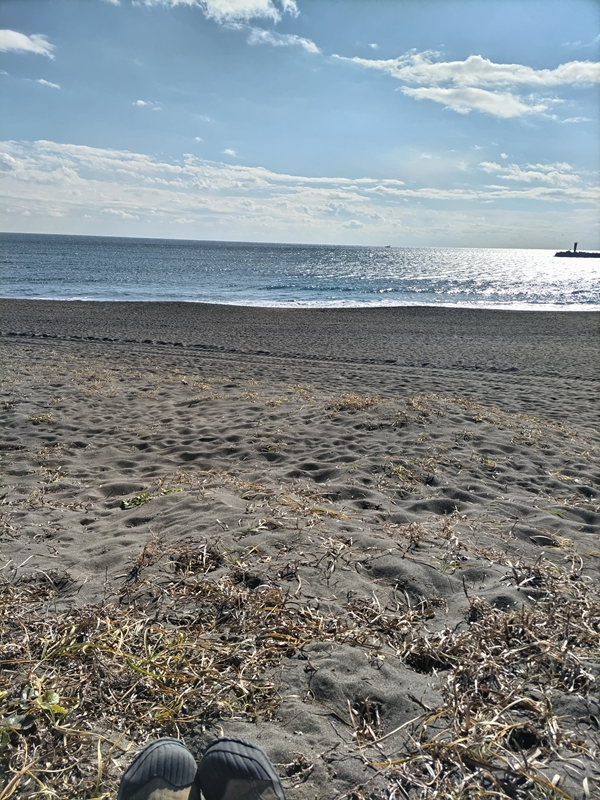元ニートのセル齋藤が大磯高校前の海の水平線を見ているところ