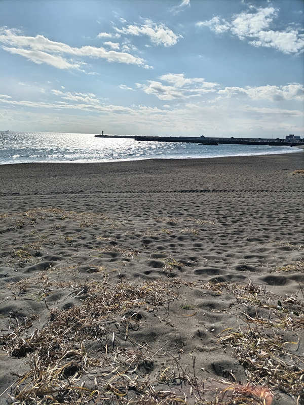 元ニートのセル齋藤が眺めていた遠くに見える大磯漁港