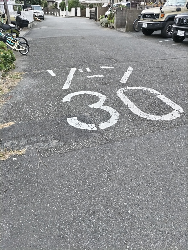 元ニートのセル齋藤が12月の茅ケ崎市内のゾーン30と書かれた道路を眺めている様子