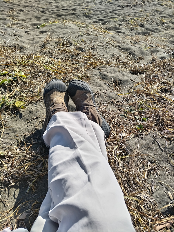 引籠りニートだったセル齋藤が大磯の草が生えている砂地に座っていたところ