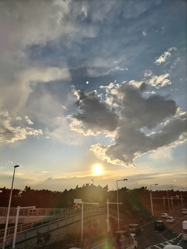 元引籠りが眺めていた黄金色に輝く太陽【茅ケ崎市内の歩道橋から】