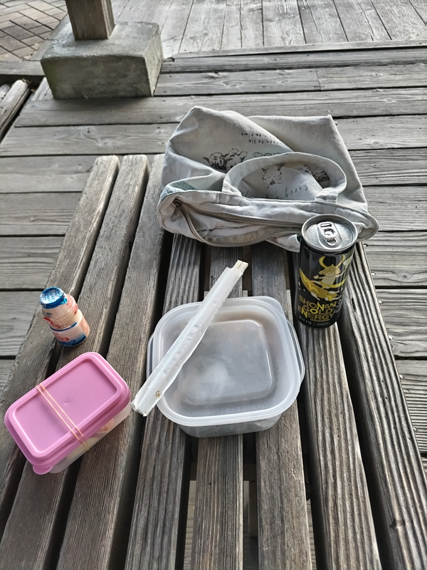 元引籠りニートだったセル齋藤が見ていた湘南エナジードリンクと弁当箱