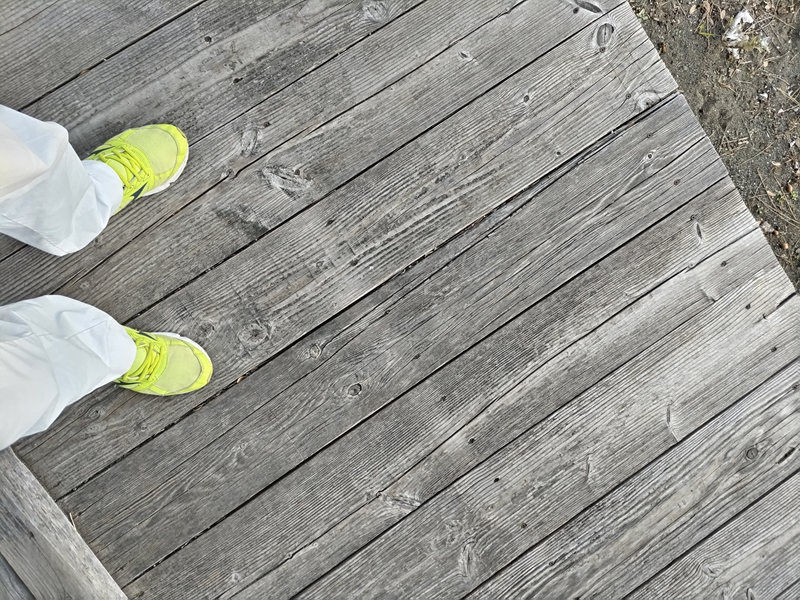 元ニート引籠りが立っていた乾燥した古い木製の床