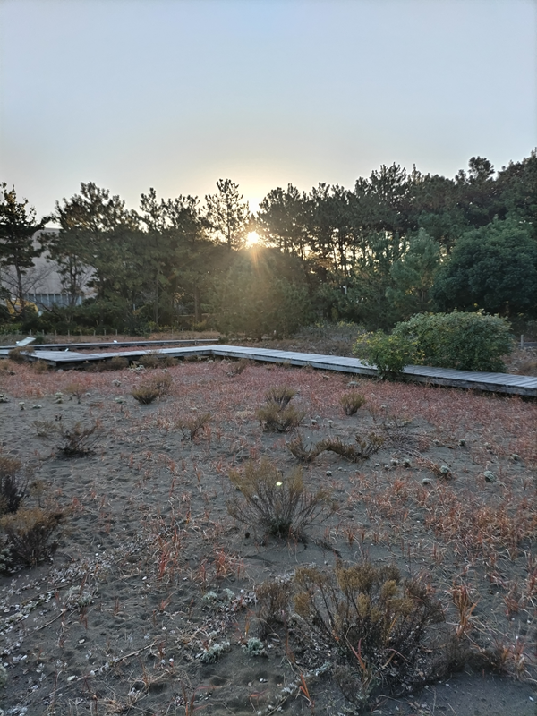 元ニート引籠りが見ていた茅ケ崎市内の12月の早朝の公園内の様子