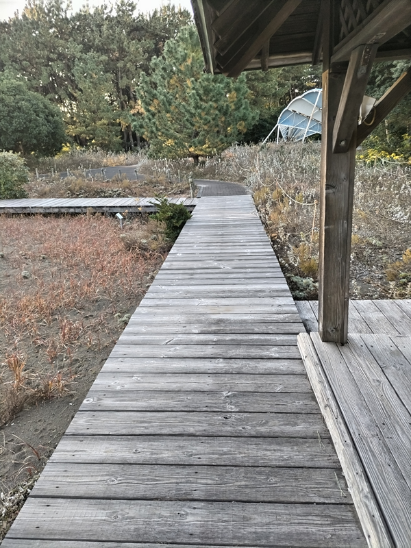 元ニートのセル齋藤が眺めていた木製の床のある公園の風景
