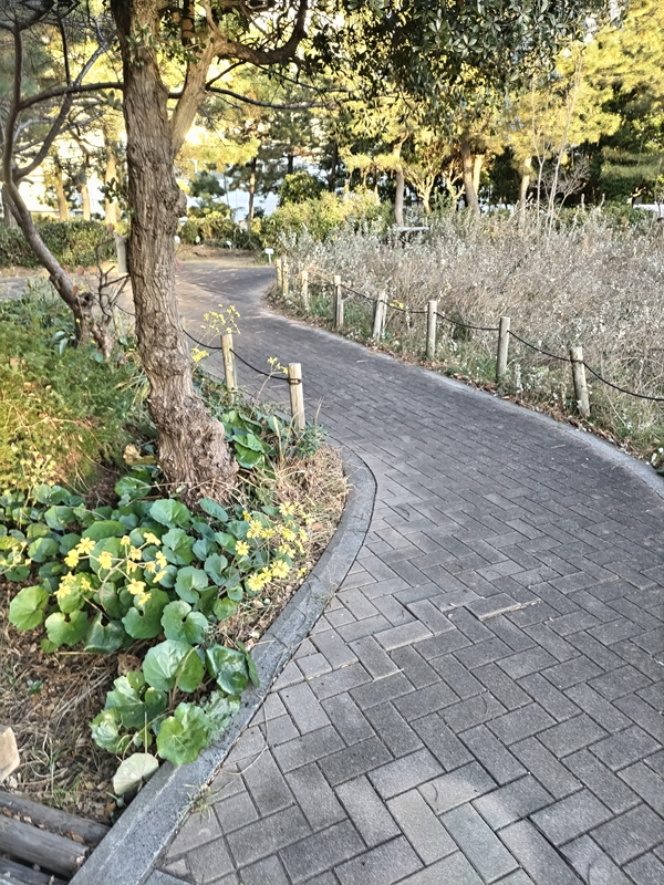 引籠りニートだったセル齋藤が眺めていた茅ケ崎市内の公園内にある歩道