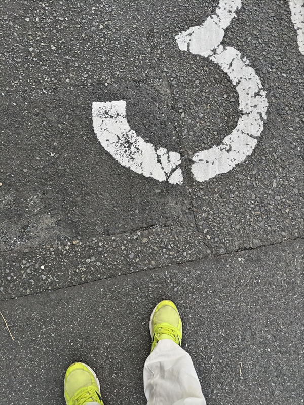 元ニートのセル齋藤が見ていた道路に記された文字