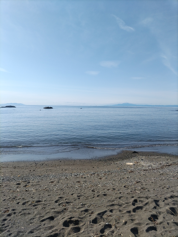 元ニート引籠りのセル齋藤が見ていた葉山町の小磯ノ鼻の砂浜