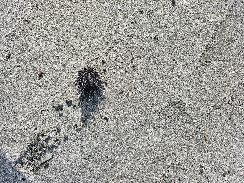 ひきこもりニートから清掃員へ【12月20日】