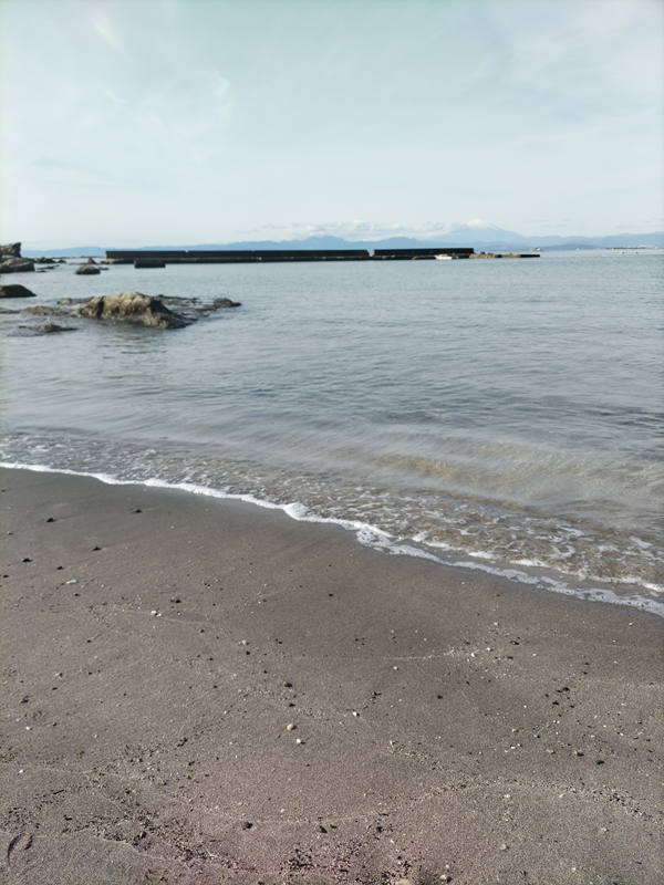 元引籠りだったセル齋藤が眺めていた葉山町の海と波