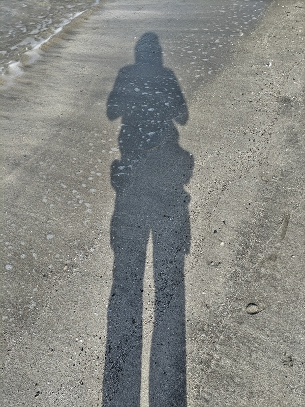 元引籠りだったセル齋藤が眺めていた自分の影と砂浜