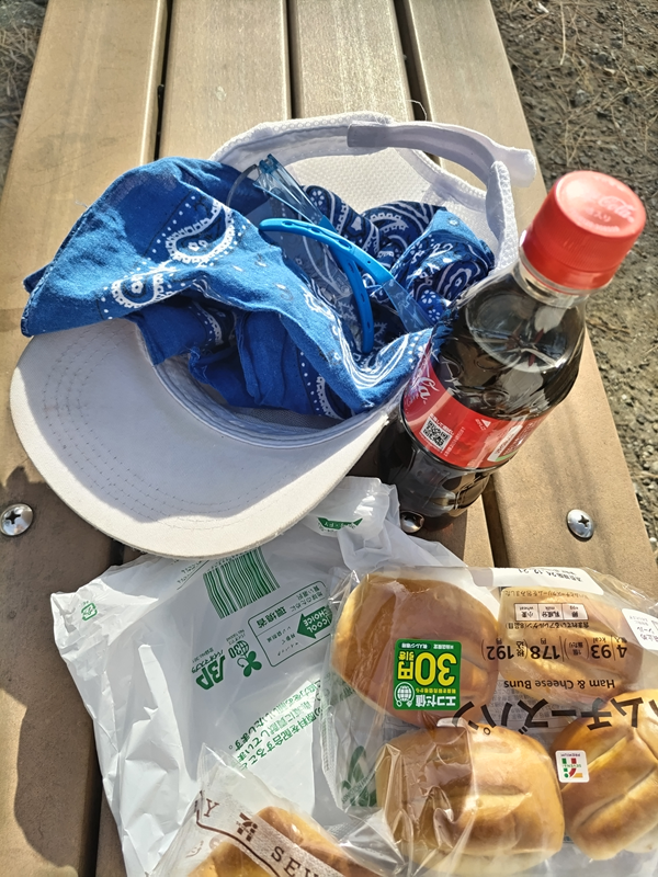 元引籠りだったセル齋藤が眺めていた昼食と白い帽子と青いバンダナ