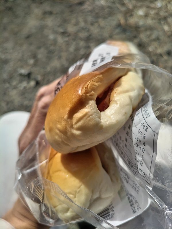 元ニートだったセル齋藤が見ていたコンビニパンのハムチーズ