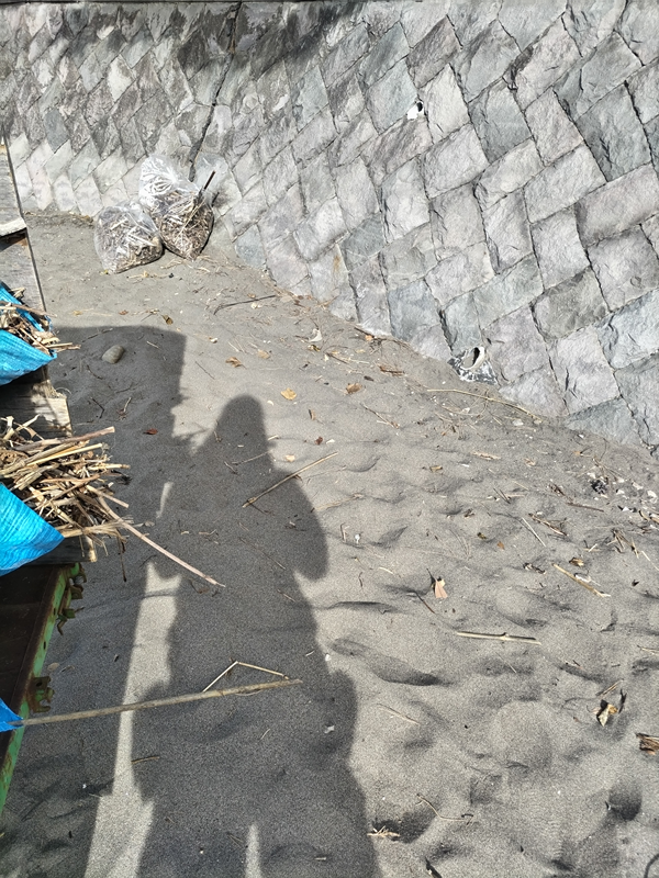 元引籠りニートだったセル齋藤が眺めていた葉山町の海岸の内陸にある壁