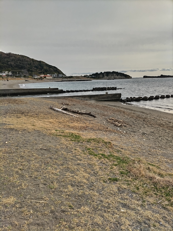 引籠りだったセル齋藤が見ていた葉山町の小磯ノ鼻の海岸にある流木