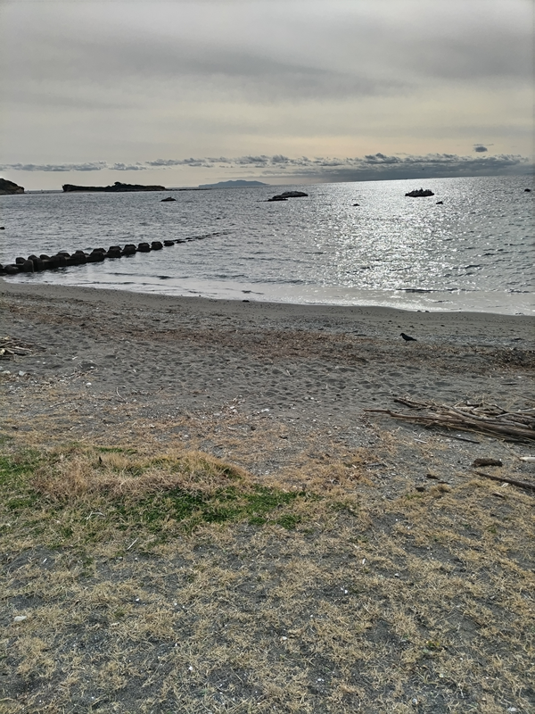 元ニートのセル齋藤が見ていた葉山町の小磯ノ鼻の光景