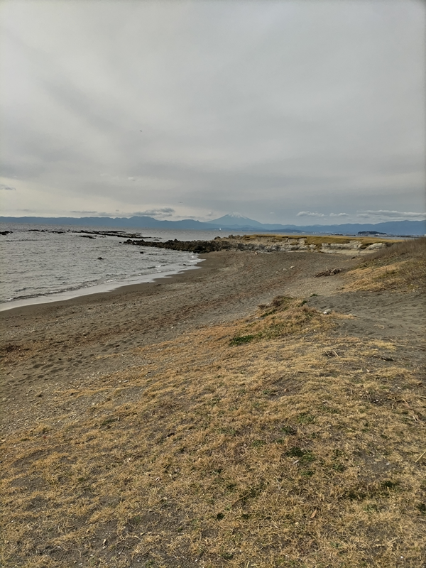 元ニートの引籠りが眺めていた小磯ノ鼻の海岸と曇り空〔神奈川県・葉山町〕