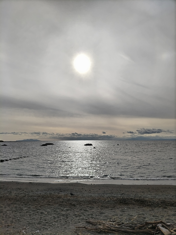 元ニート引籠りが眺めていた白く輝く太陽【神奈川県・葉山町の小磯ノ鼻】