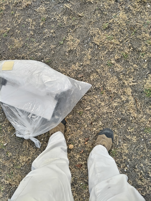 引籠りニートだったセル齋藤が見ていた葉山町の砂地に生えた枯草