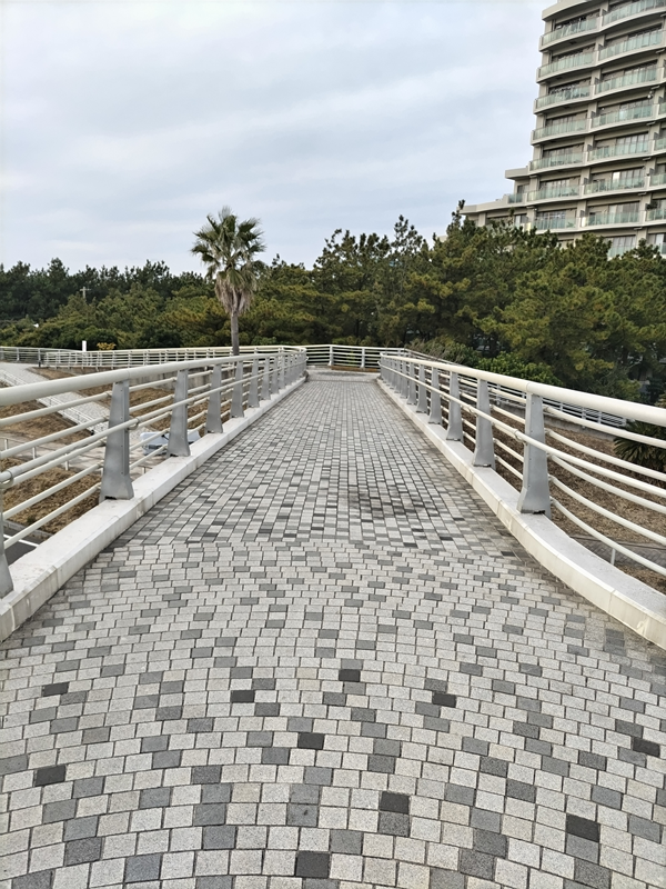 元ニート引籠りだったセル齋藤が眺めていた歩道橋の上の光景