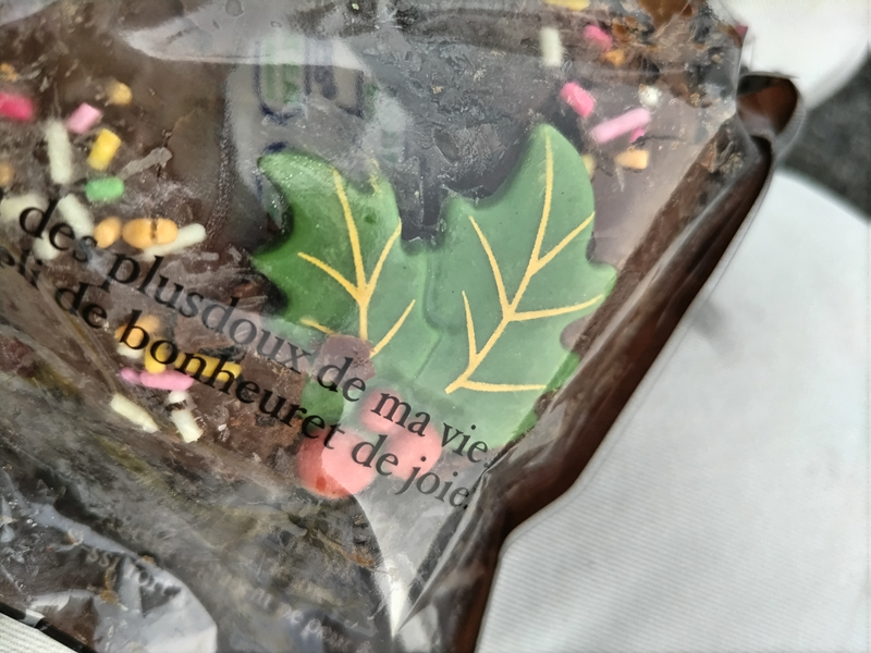 元引籠りニートだったセル齋藤が眺めていた甘いドーナツ