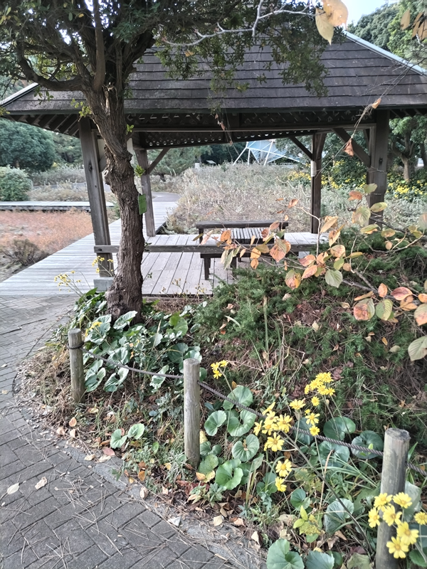 元ニート引籠りが見ていた早朝の公園内の木造建築