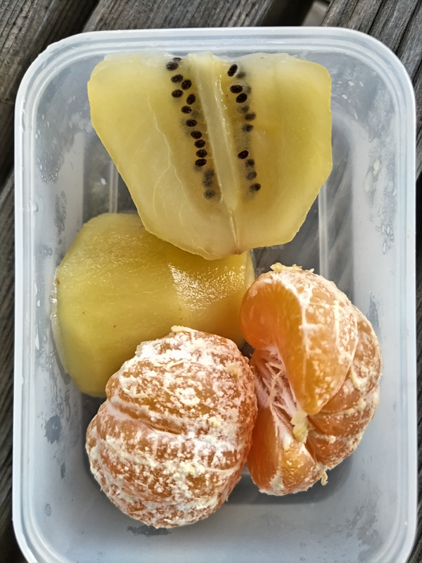 元ニート引籠りが朝に食べていたカットキウイとミカン