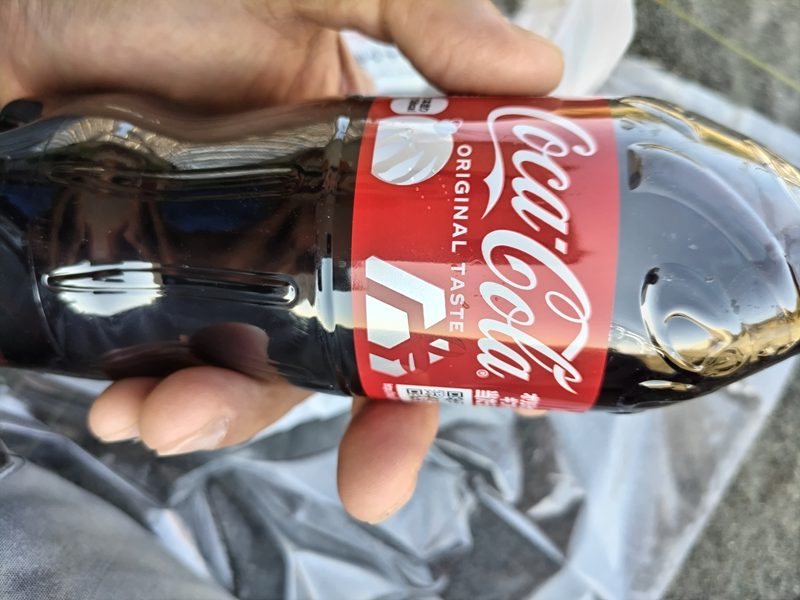 引籠りニートだった齋藤健一が掴んでいた赤いラベルのコカ・コーラ