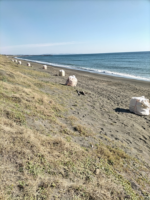 引籠りニートだった齋藤健一が見つめていた平塚市の海岸に並べられた沢山の袋