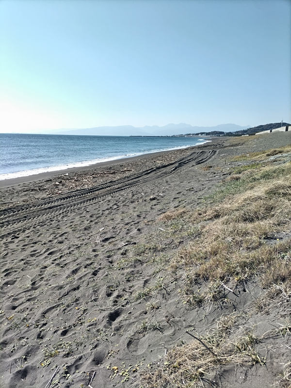 元ニート引籠りの齋藤健一が見ていた平塚市・虹ケ浜の海岸の風景