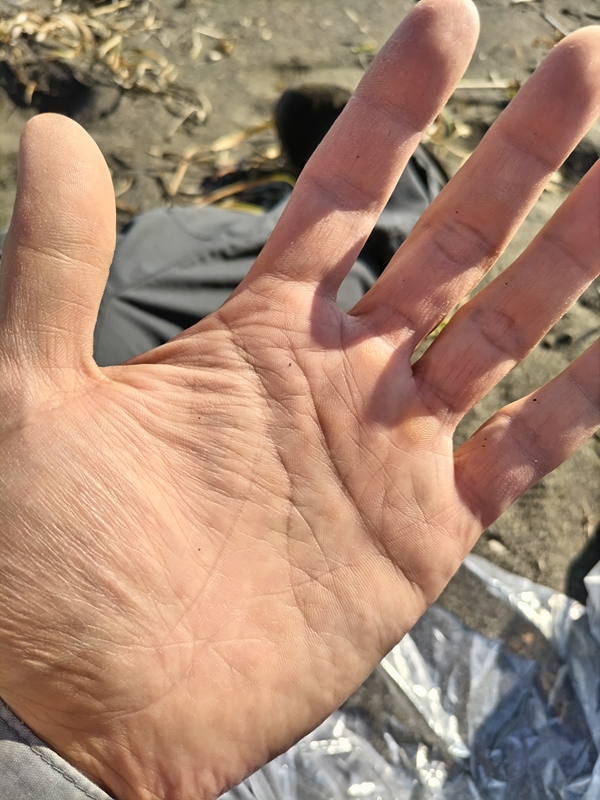 元ニート引籠りの齋藤健一が左手を開いて手相を見ている様子