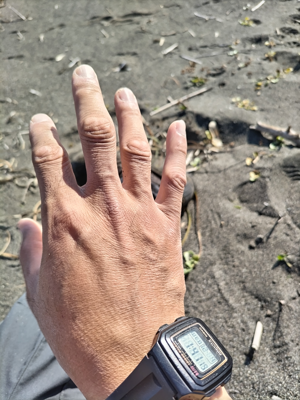 元ニートの齋藤健一が右手の手の甲を見ているところ