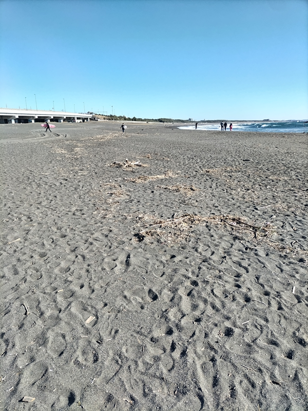 元引籠りニートが見ていた木くずでうっすら汚れた神奈川県の大磯町の海水浴場