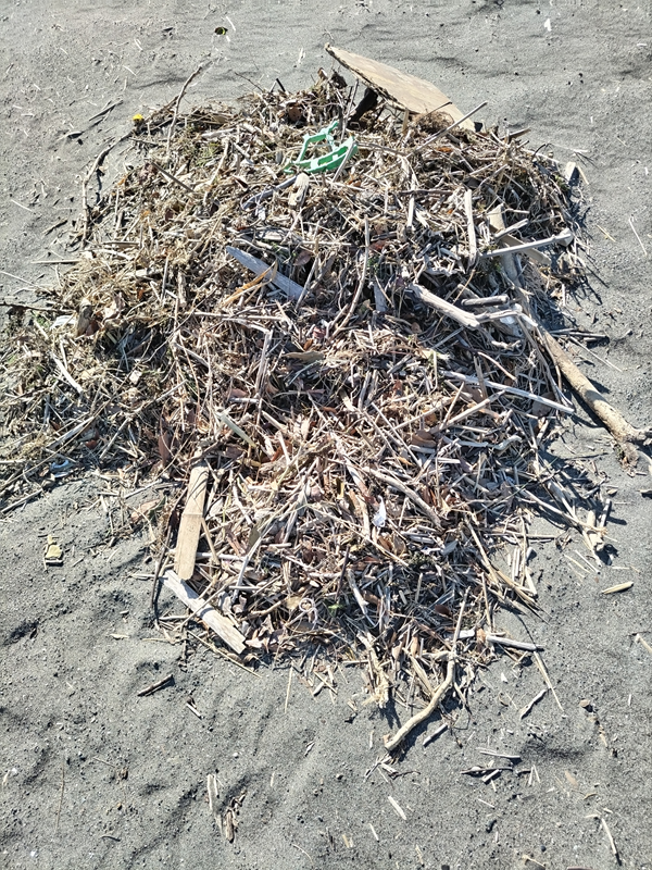 引籠りニートだった齋藤健一が大量の木くずゴミを見つめている様子