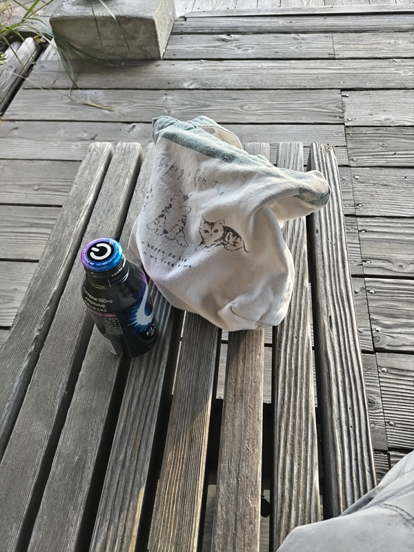 引籠りニートだった俺が飲んでいたエナジードリンクと、弁当箱が置かれた木製テーブルを見ていた時の様子