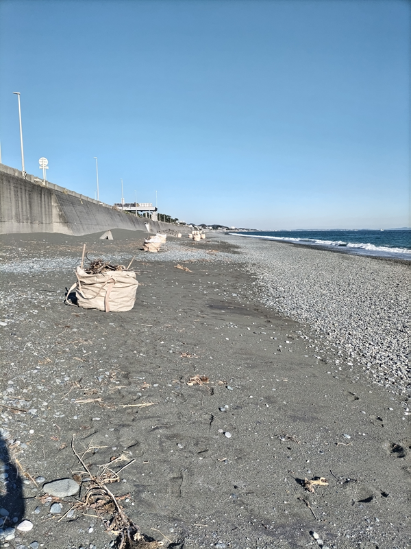 元ニート引籠りが見ていた二宮町の海岸に一定間隔で並べられた沢山の木くずで満載の袋