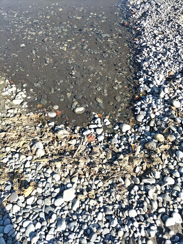 引籠りニートだった齋藤健一が乾いた石と水溜まりの中で濡れた石を見ている様子