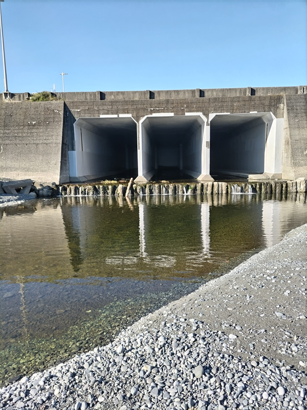 元ニート引籠りが見ていた二宮町の押切海岸の排水口と海に流れ込む水