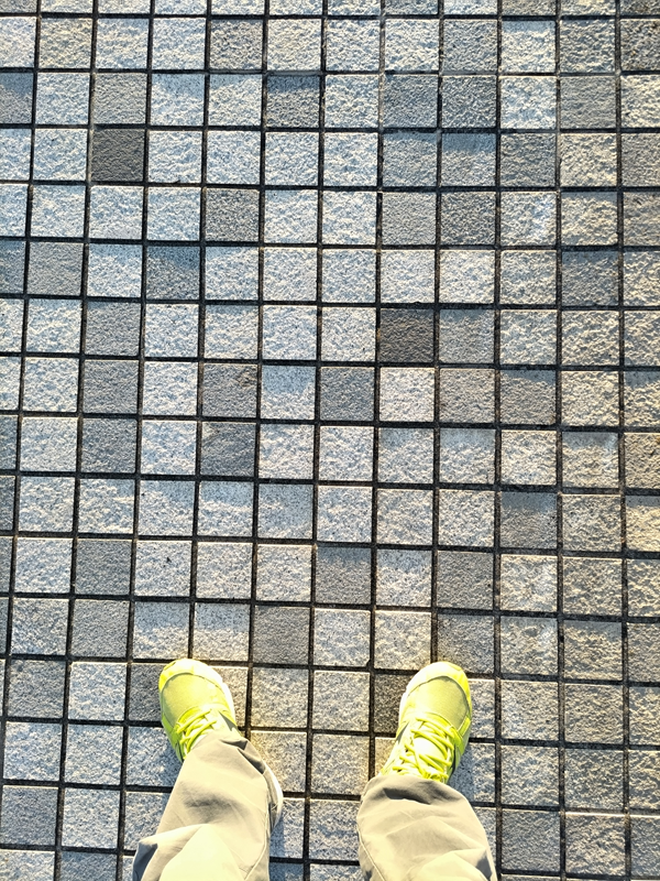 引籠りだった齋藤健一が立っていた正方形のタイル張りの地面