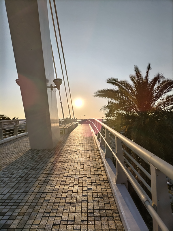 引籠りニートだった齋藤健一が上り坂の歩道橋から正面に見ていた明るい夕陽