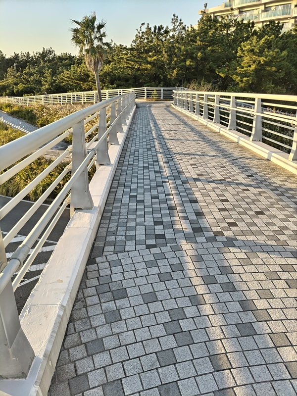 元ニート引籠りが見ていた歩道橋の上の白い道