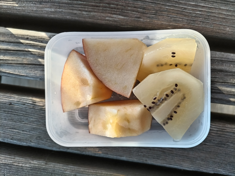 引籠りニートだったセル齋藤が朝の食事で食べていたキウイとカットリンゴ