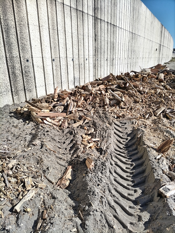 元ニート引籠りの齋藤健一が七里ヶ浜海岸の西端にあった粉砕された木くずゴミを見ている様子