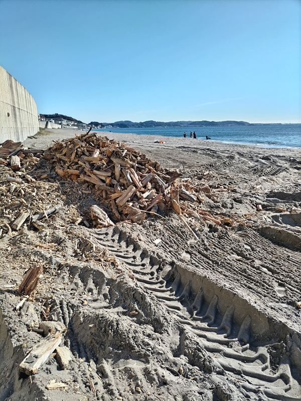 引籠りニートだったセル齋藤が海岸漂着ゴミの流木が積み上げらた山を見ている様子【鎌倉市・七里ヶ浜海岸】