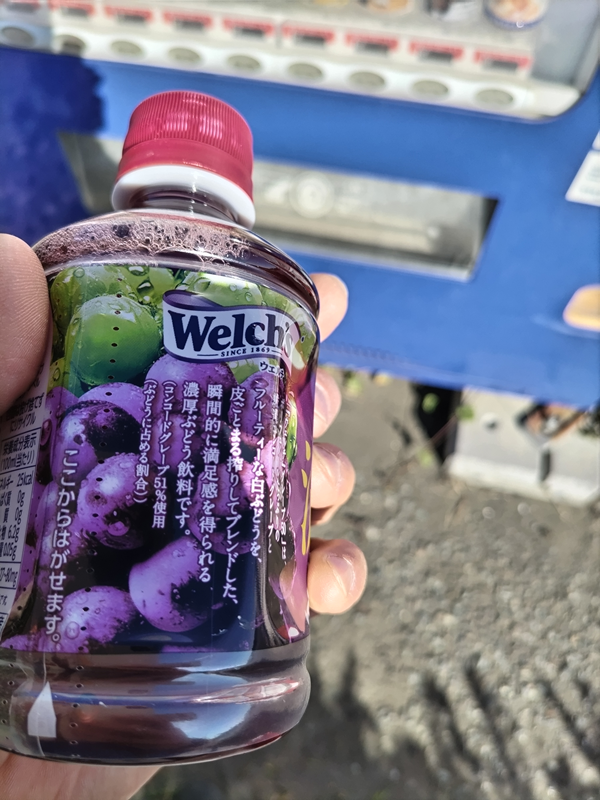 引籠りニートだったセル齋藤が紫色のブドウ飲料のペットボトルを見ているところ