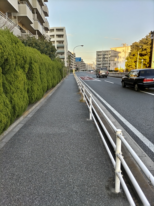 元ニート引籠りのセル齋藤が眺めていた緑色の植木の脇にある茅ケ崎市の歩道