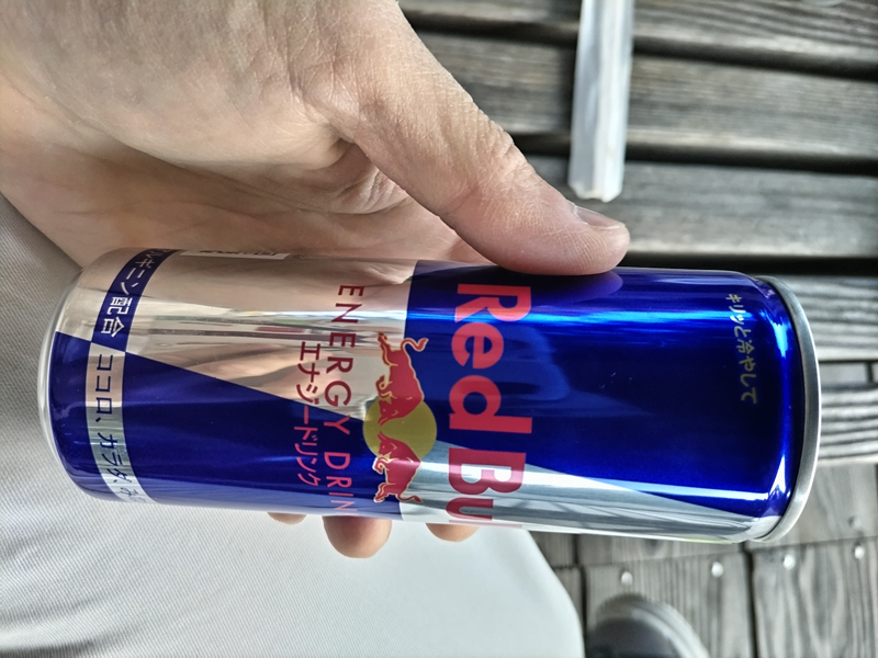 元引籠りニートが掴んでいたレッドブル缶