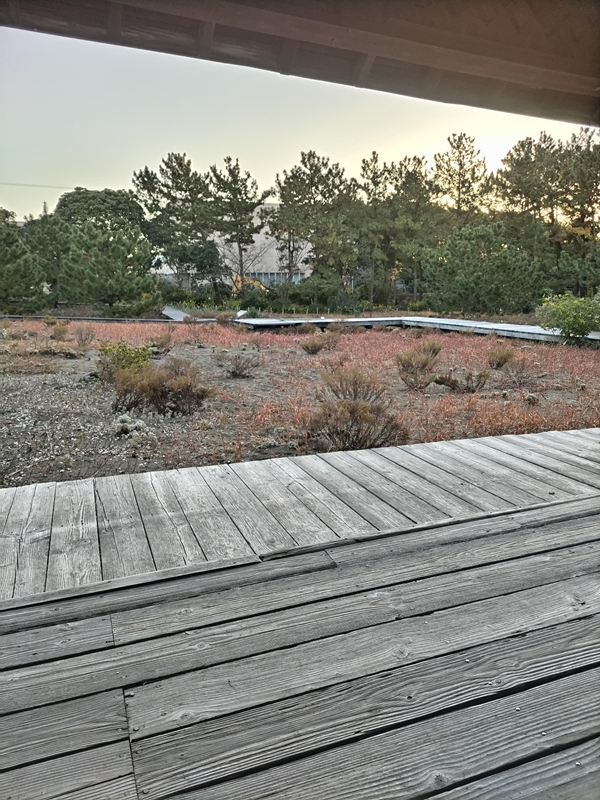 引籠りニートだったセル齋藤が眺めていた木製の乾燥した古びた床