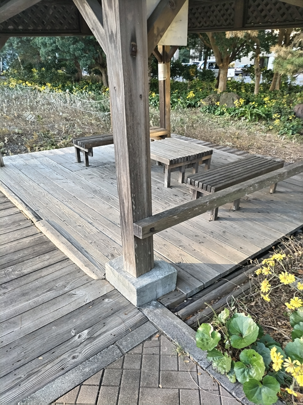 引籠りニートだったセル齋藤が木製で構成された建造物を眺めている様子