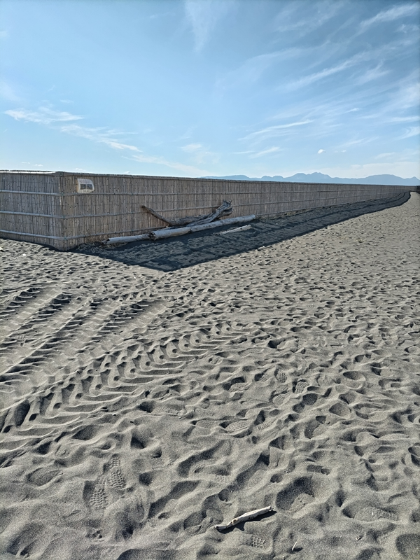 元ニート引籠りが見ていた神奈川県・高浜台の柵の内側にある流木